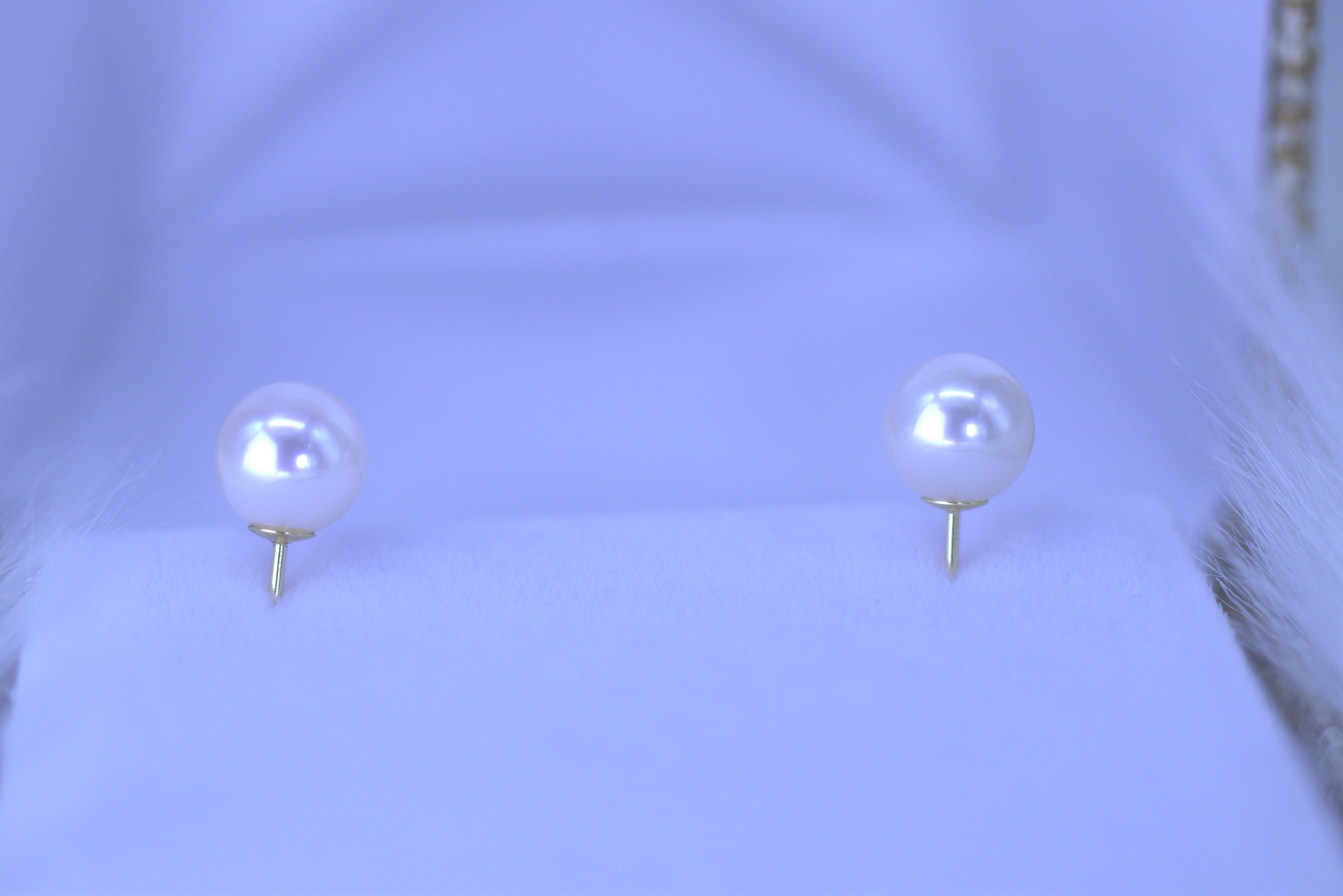 Natural Pearl Studs/Earrings, Solid Yellow Gold 14k
