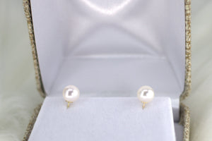 Natural Pearl Studs/Earrings, Solid Yellow Gold 14k